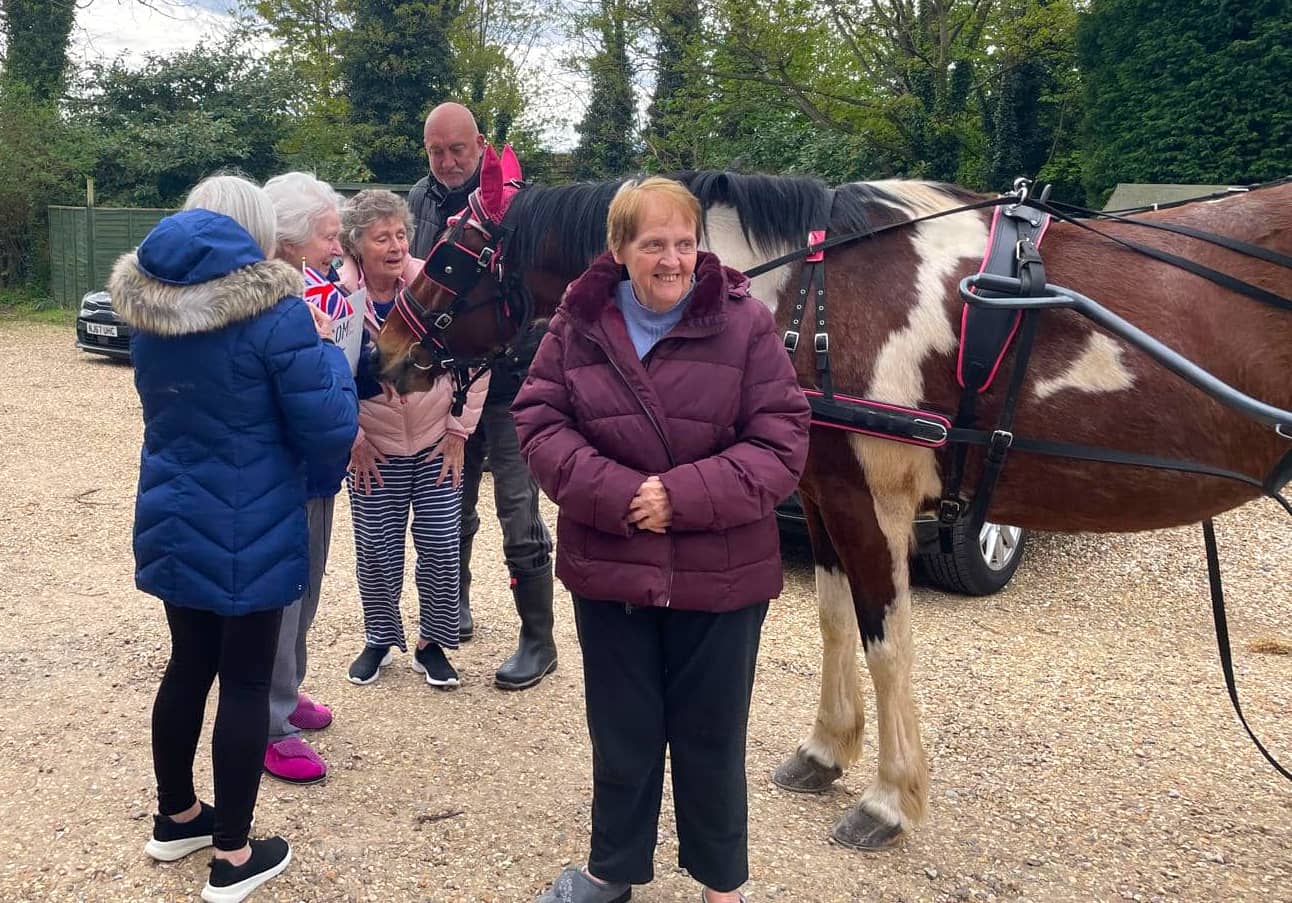 437402282_883257100481445_4521775374040717071_n (1) Elderly people watching a horse